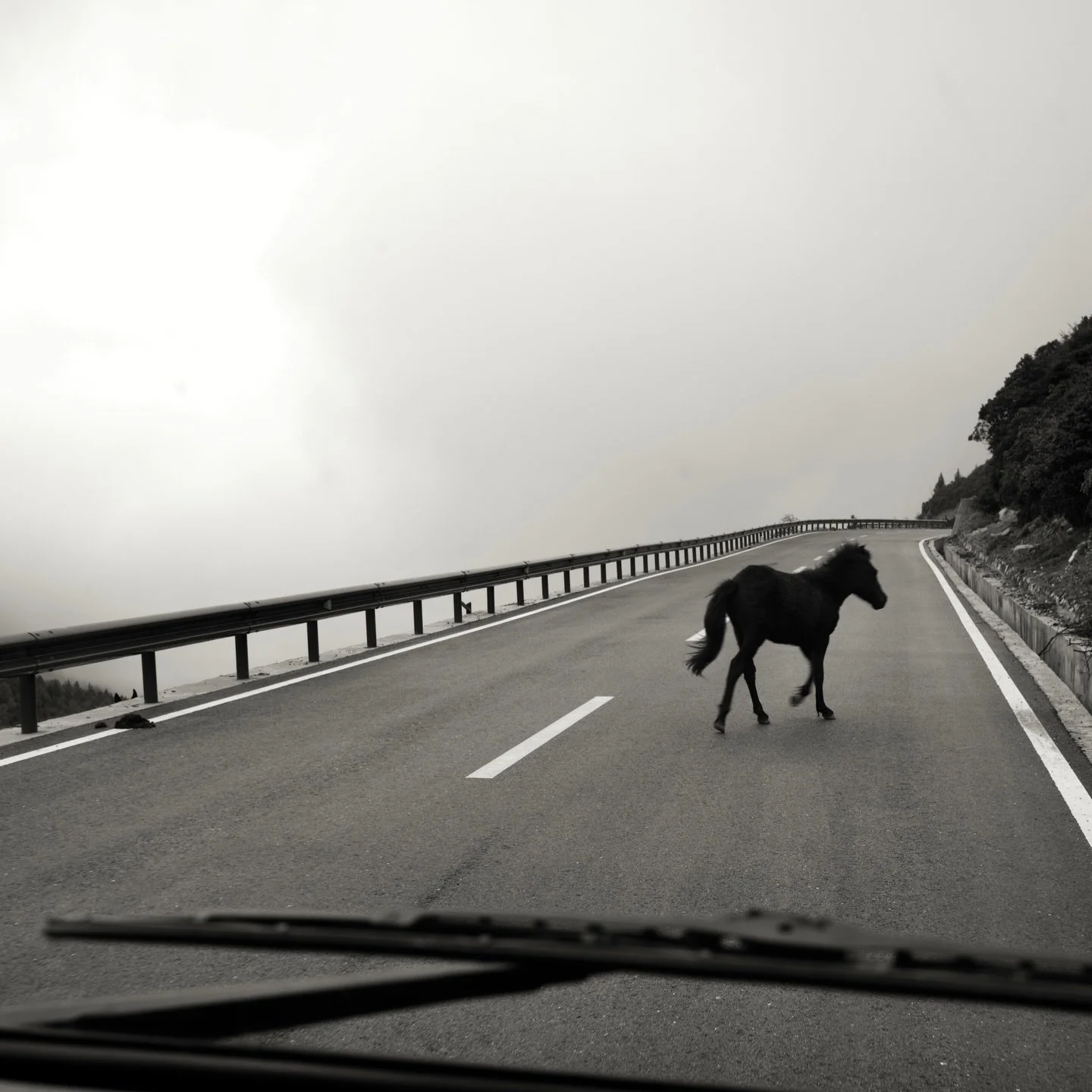 Moody images in imperfect light. What do you guys think about &ldquo;perfect&rdquo; lighting conditions? I chatted with a photographer recently who said that the more she&rsquo;d learned about landscape photography, the narrower her idea of &ldquo;pe