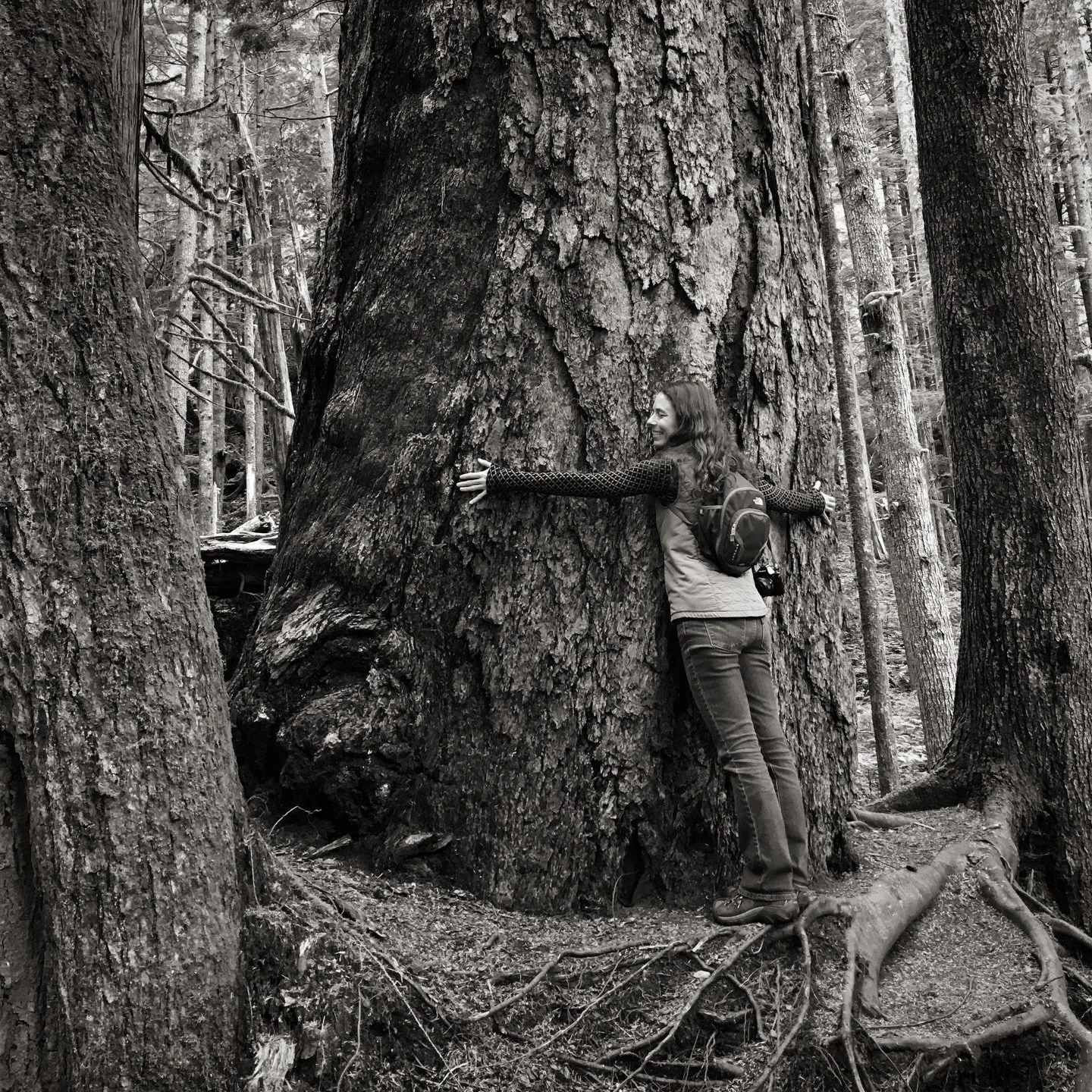 Come hug trees with me this spring! My landscape photography e-course starts on the 4th (that&rsquo;s soon!). We&rsquo;re going to spend eight beautiful weeks talking about creative seeing and making gorgeous images together. If you&rsquo;ve taken la