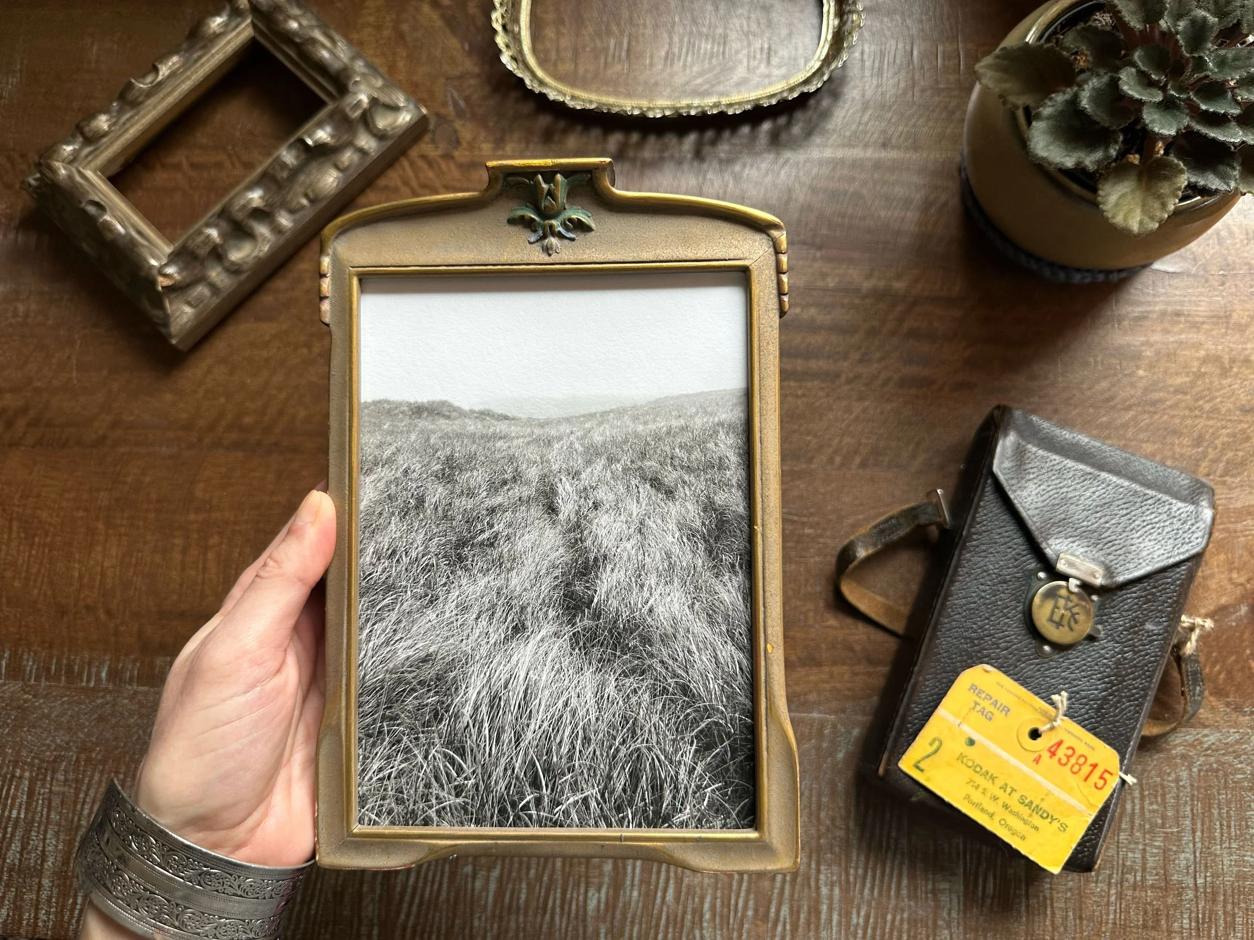 Dune Trail to Foggy Hill