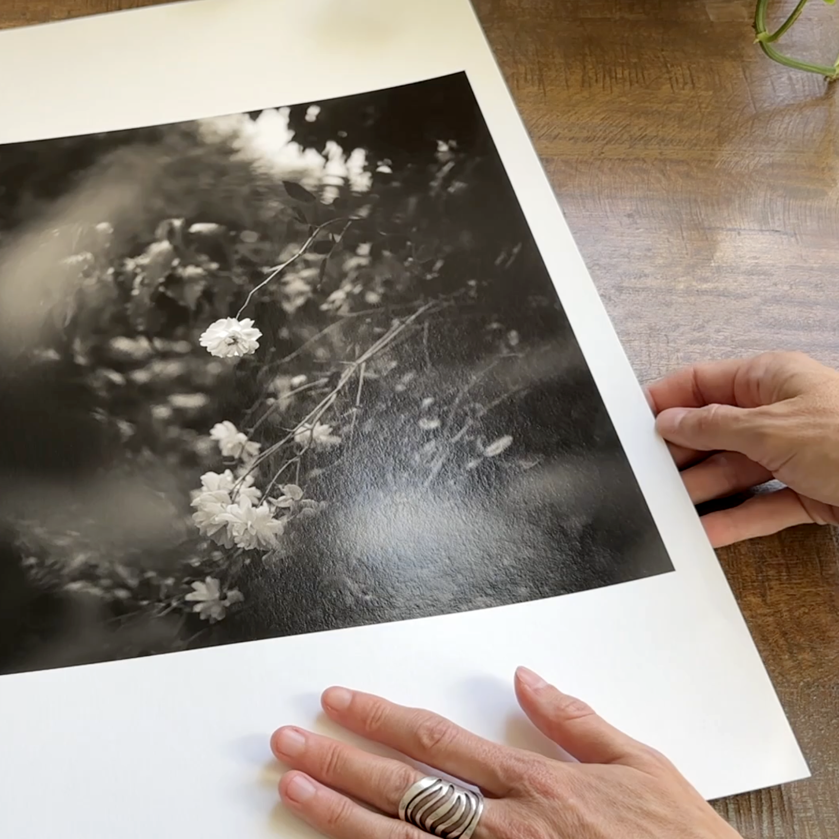 Screenshot 2025-12-01 at 7.06.27 PM.png