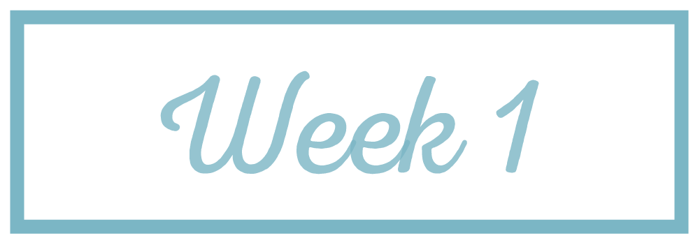 Rachel Reaches_Week 1.png