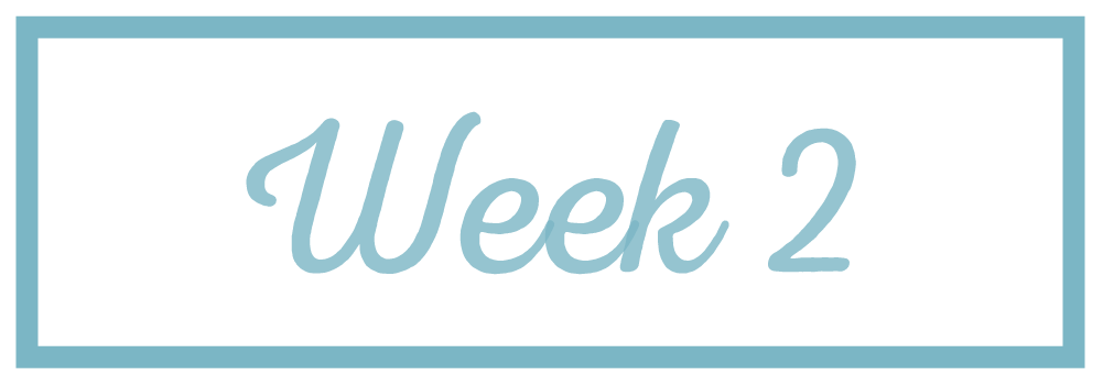 Rachel Reaches_Week 2.png