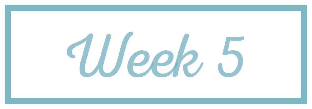 Rachel Reaches_Week 5.png