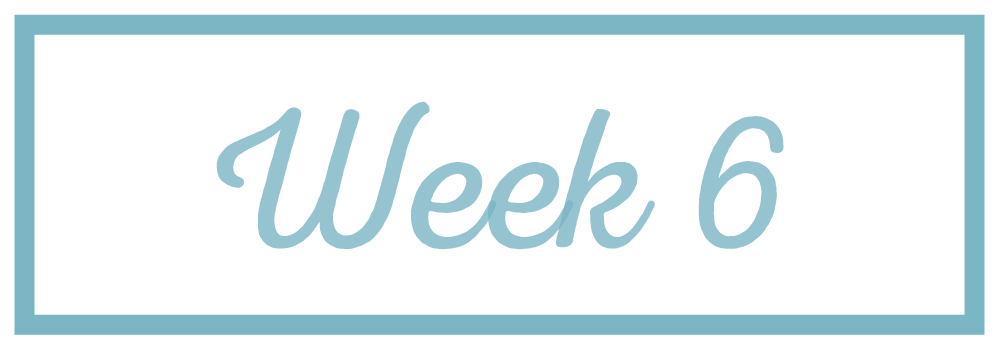 Rachel Reaches_Week 6.png