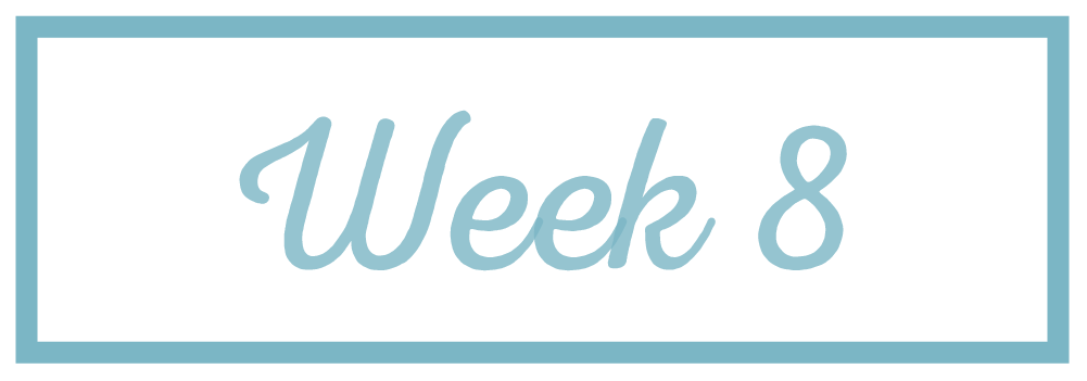 Rachel Reaches_Week 8.png