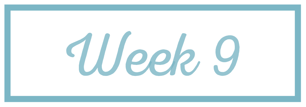 Rachel Reaches_Week 9.png