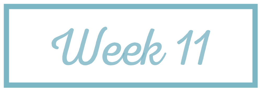 Rachel Reaches_Week 11.png