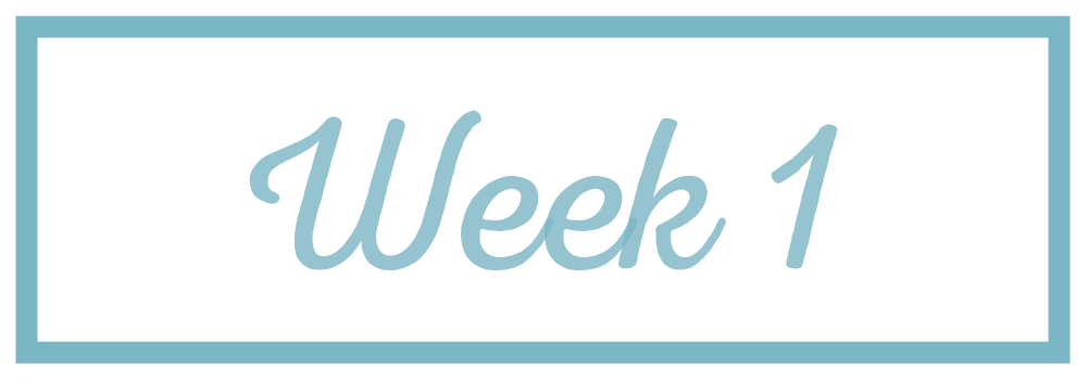 Rachel Reaches_Week 1.png
