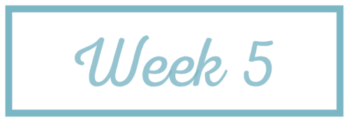 Rachel+Reaches_Week+5.png