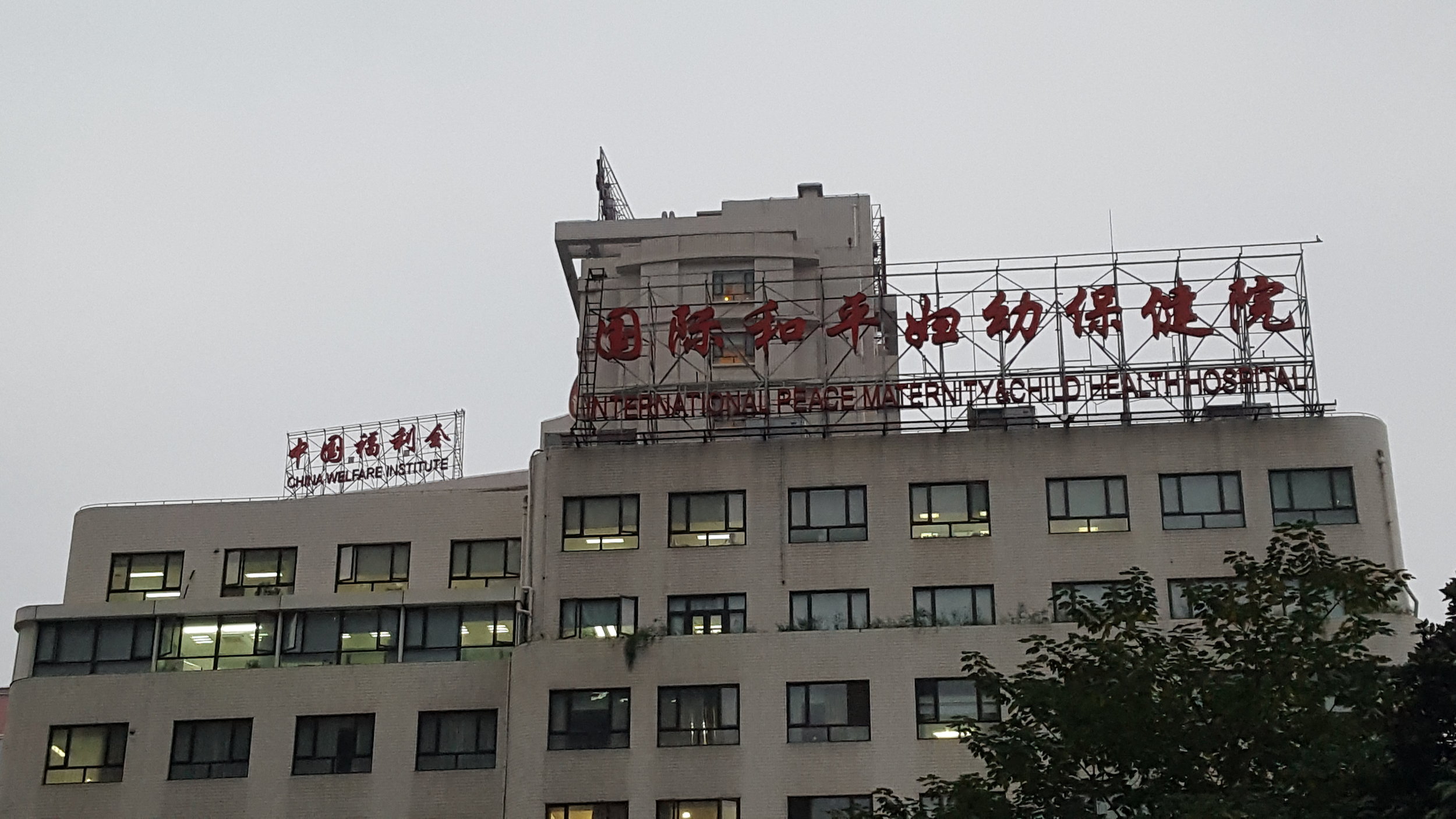 20171114_164923.jpg