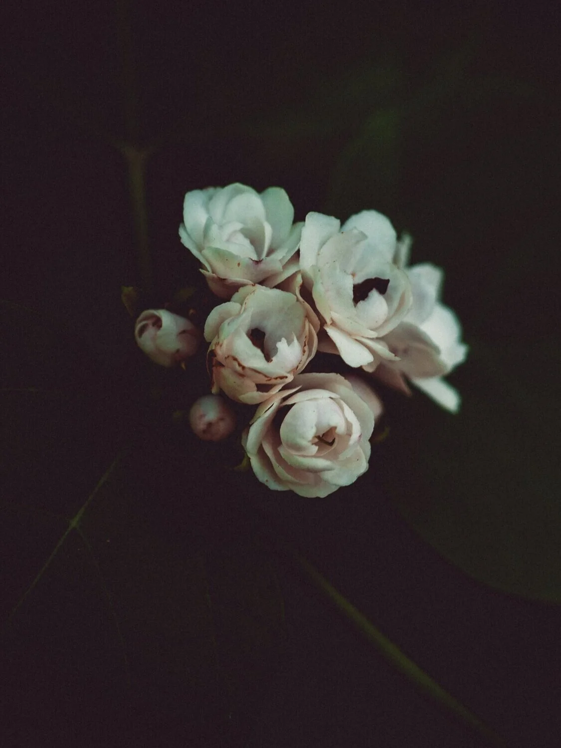 Faith is Courageous and BOLD || Part 4d of 4