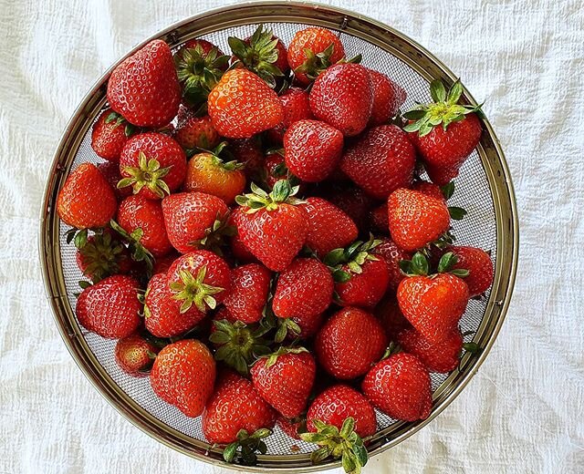 Love strawberry season!
