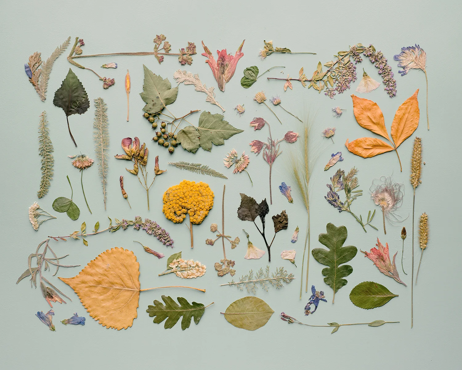 _FloralObjectsDSC_6574_Web.jpg