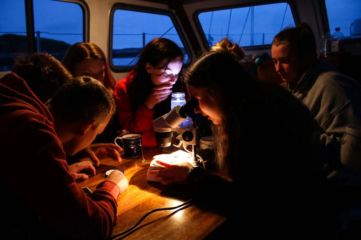 Teen Team Surveys