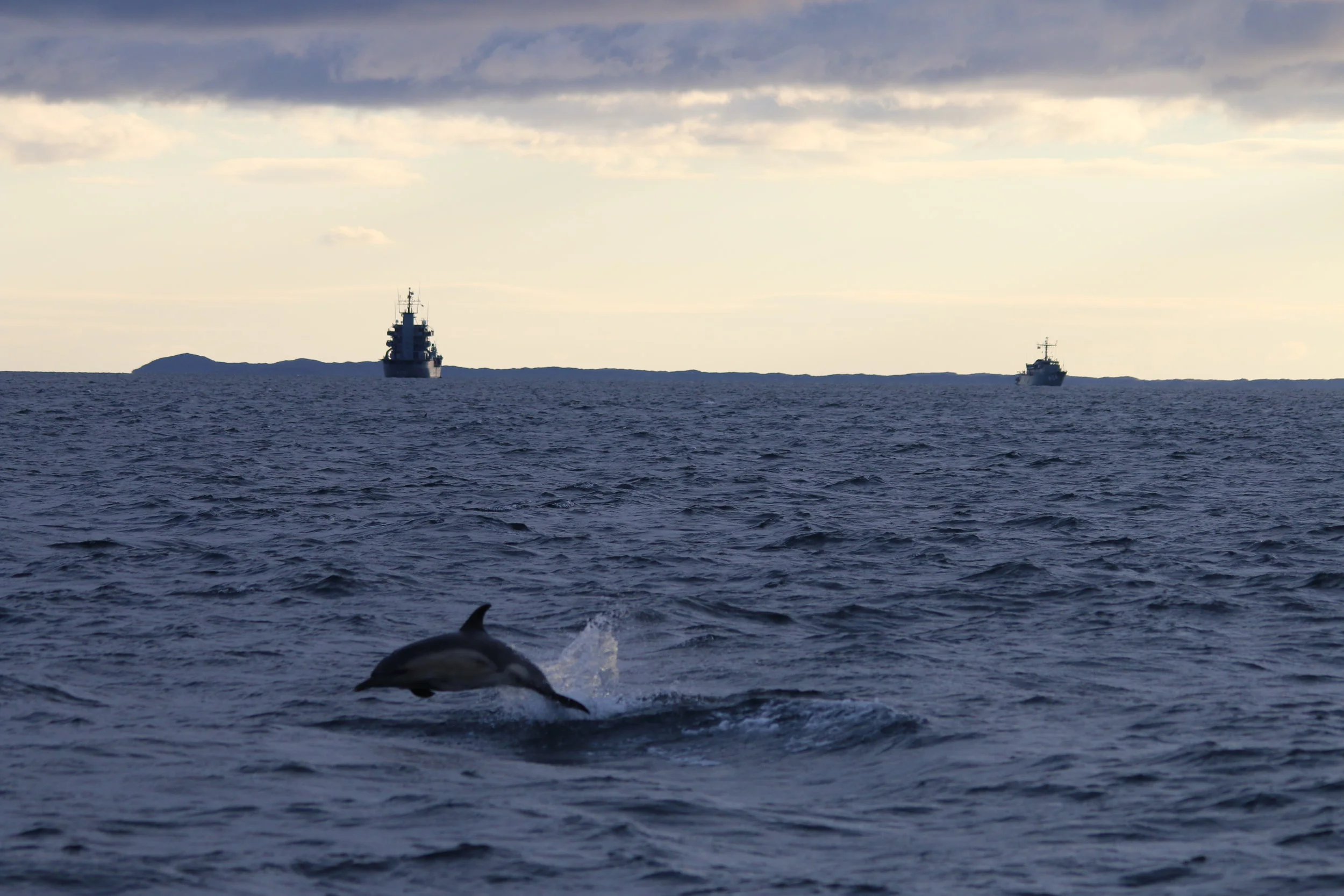 Final Chance to join HWDT on-board Silurian in 2017