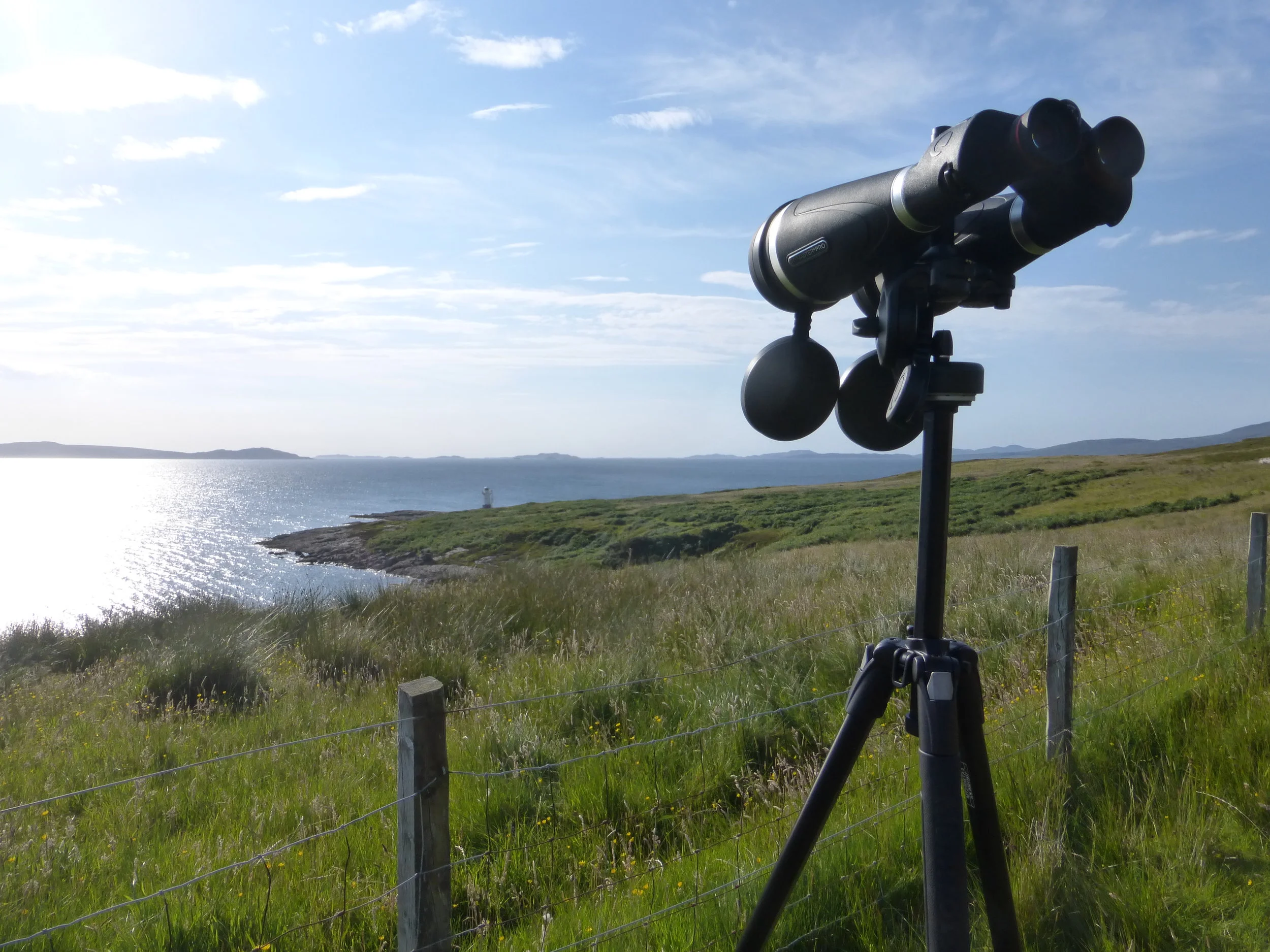 Community sightings summary: June 2017