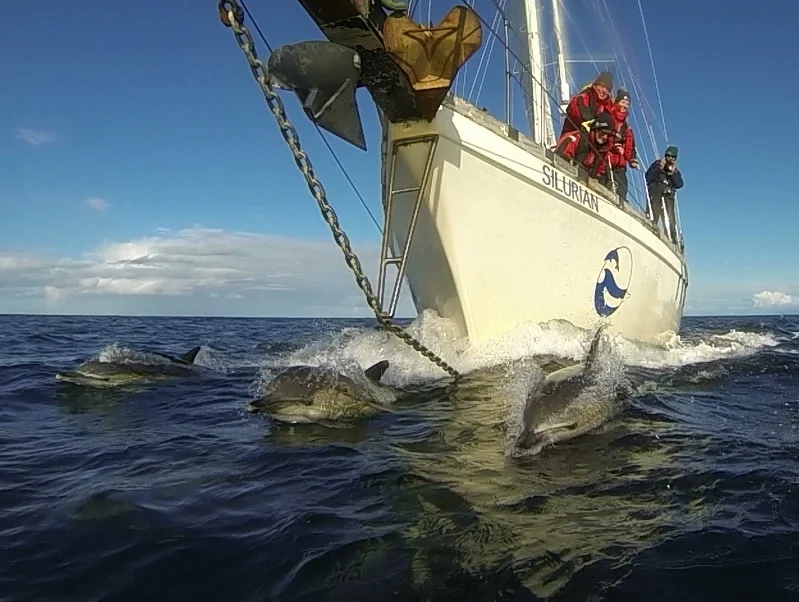 Silurian continues to protect Our Blue Planet