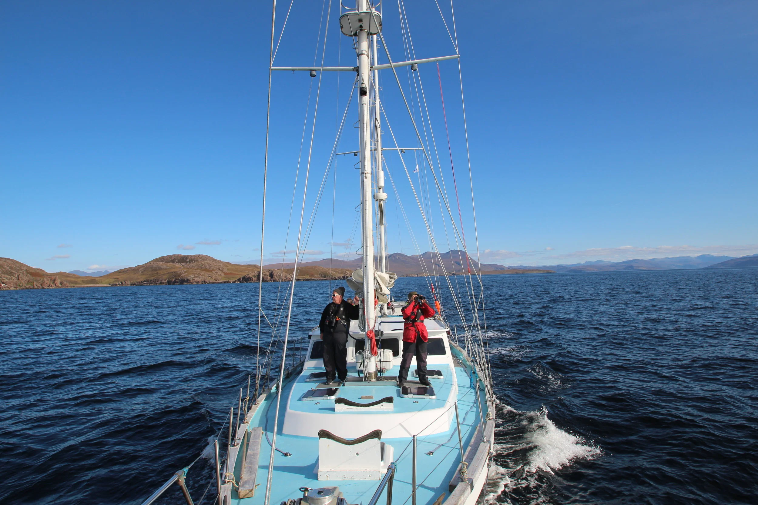 Survey Summary: HWDT 12