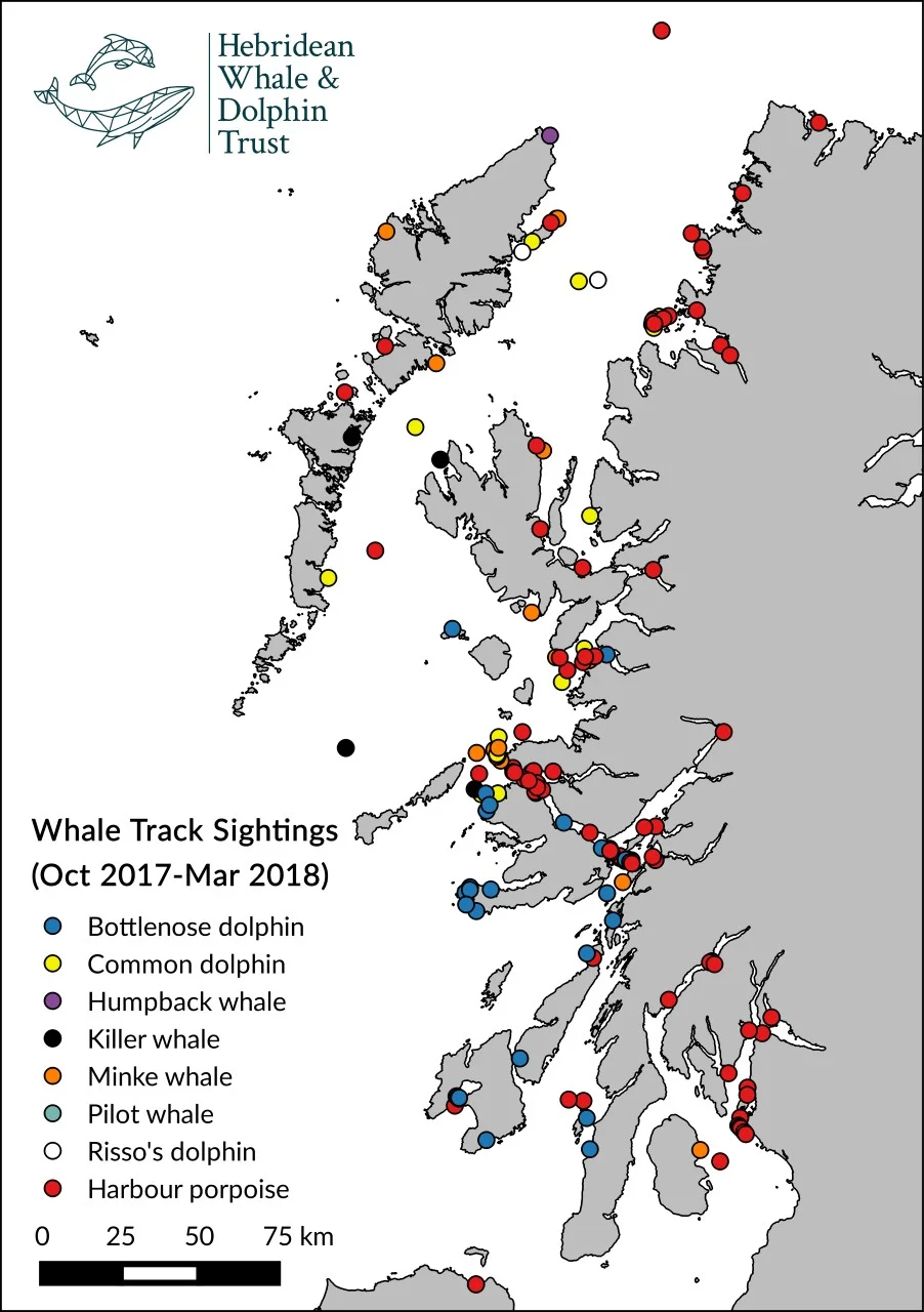 Sightings submitted via Whale Track this winter