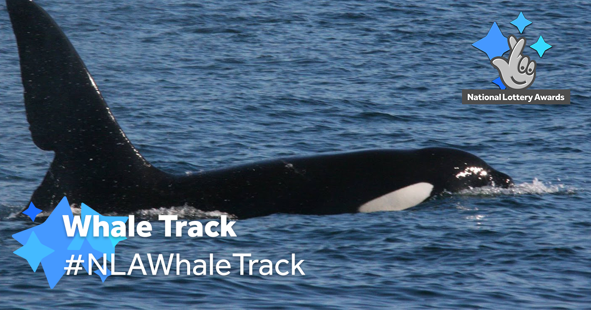 Whale TrackFACEBOOK.png