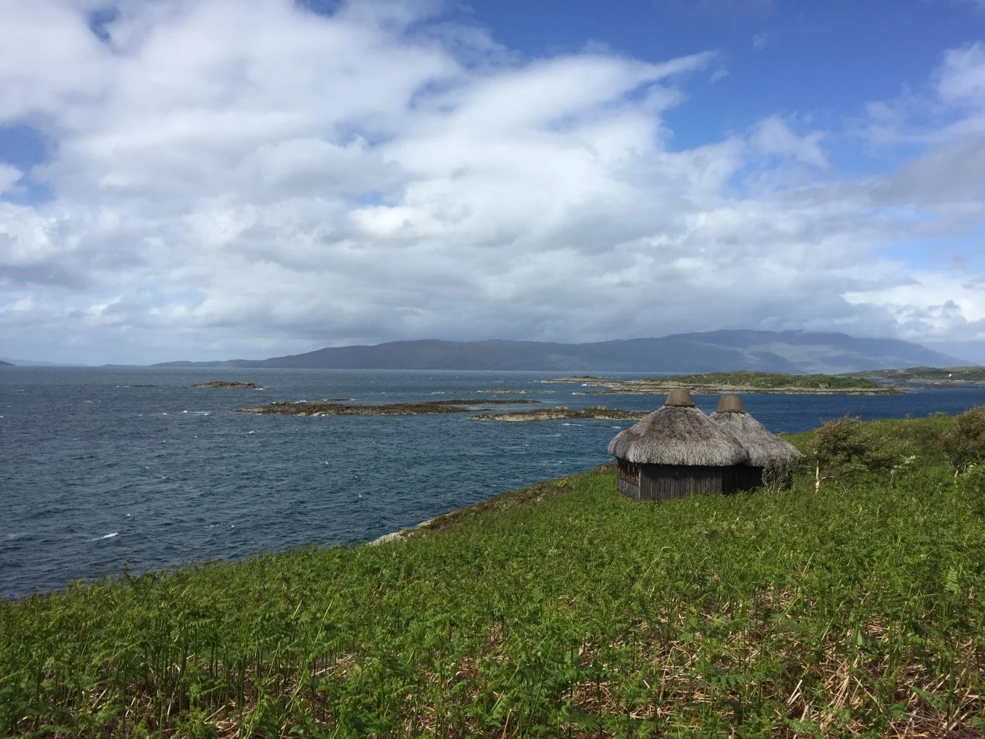 Spotting seals from Eilean Ban