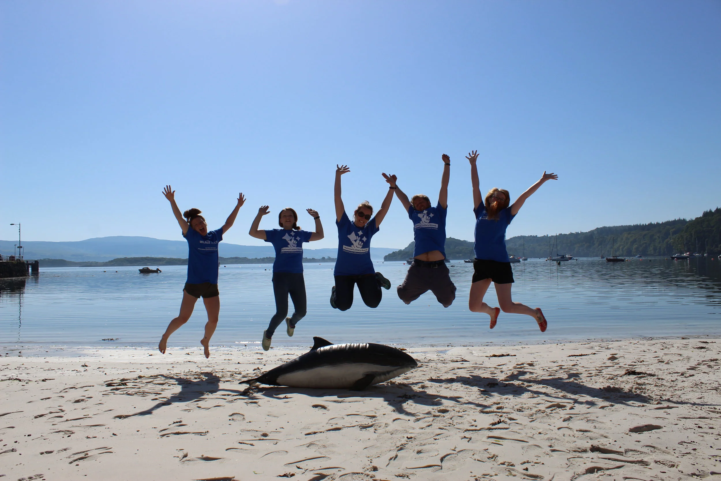 Celebrating a Year of Whale Track!