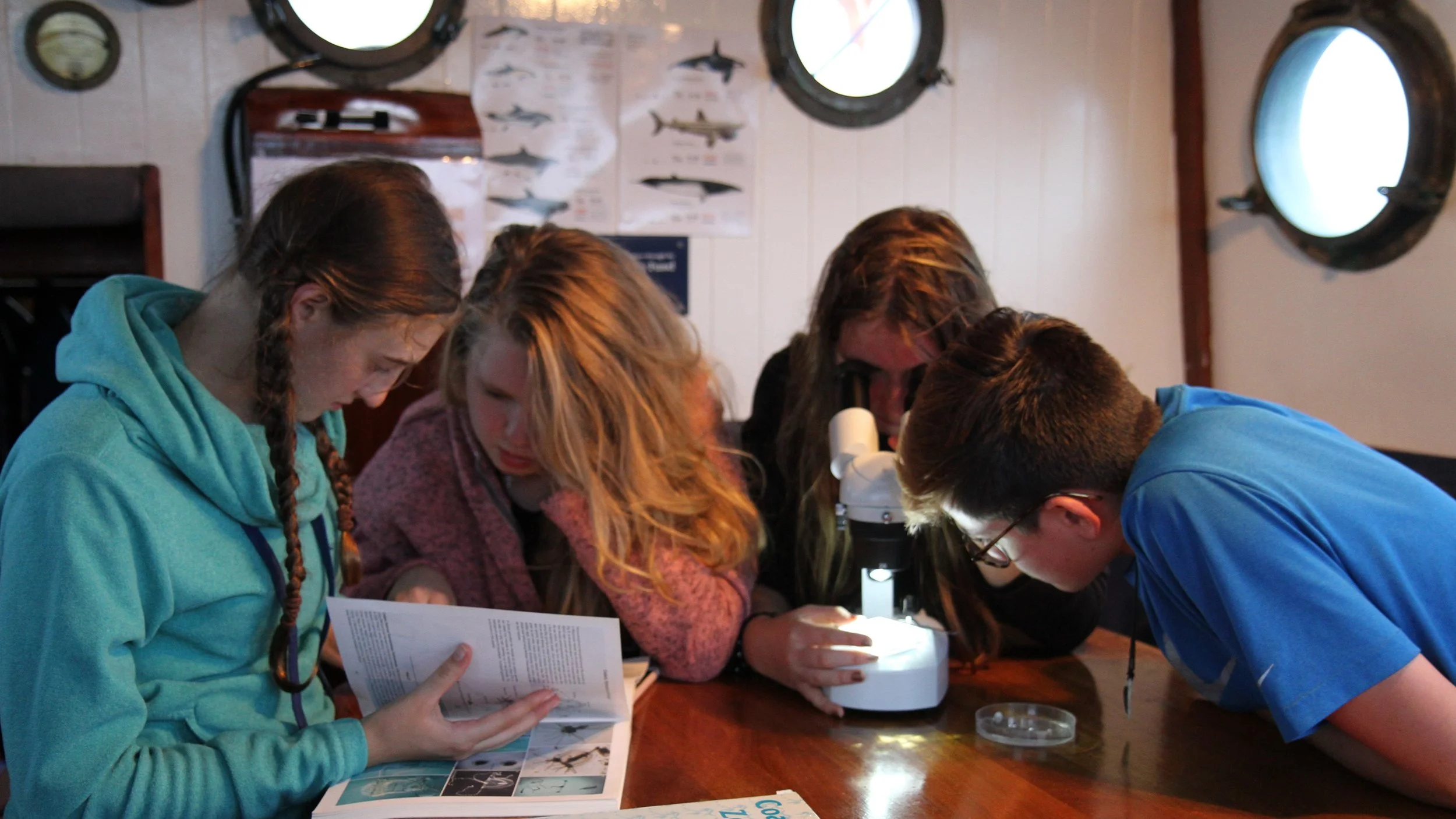 Plankton Party!