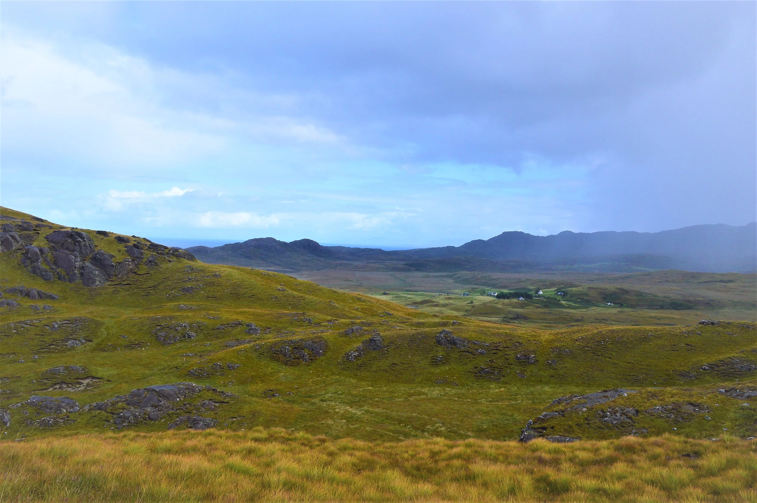 Ardnamurchan Whale Tales: part II