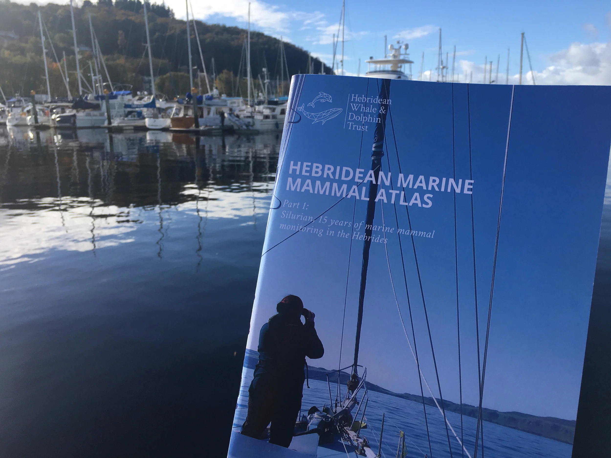 HWDT Celebrates World Book Day