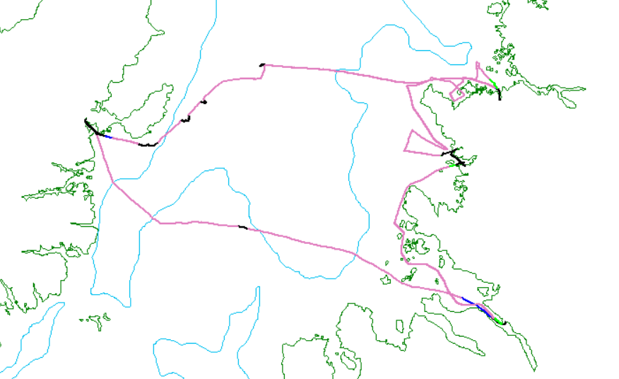 Track lines for HWDT 13
