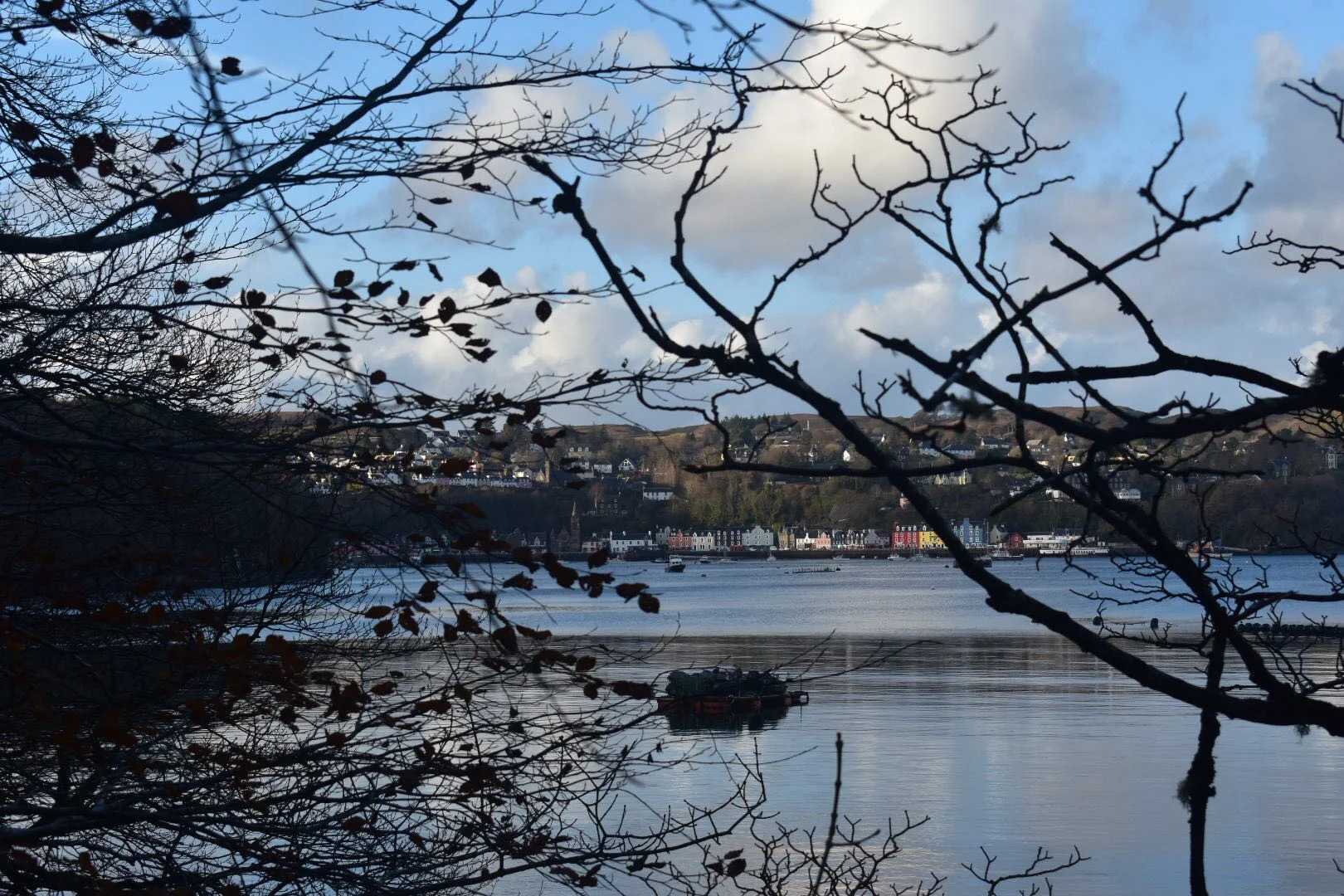 Wishing you all a very Merry Christmas and a happy new year from Tobermory