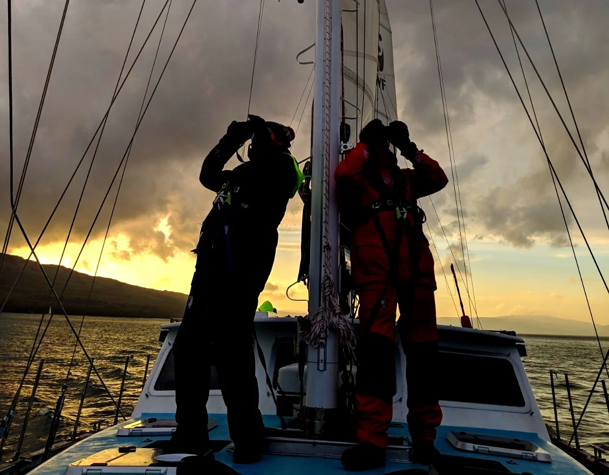 Rob and Steve searching for cetaceans at sunset