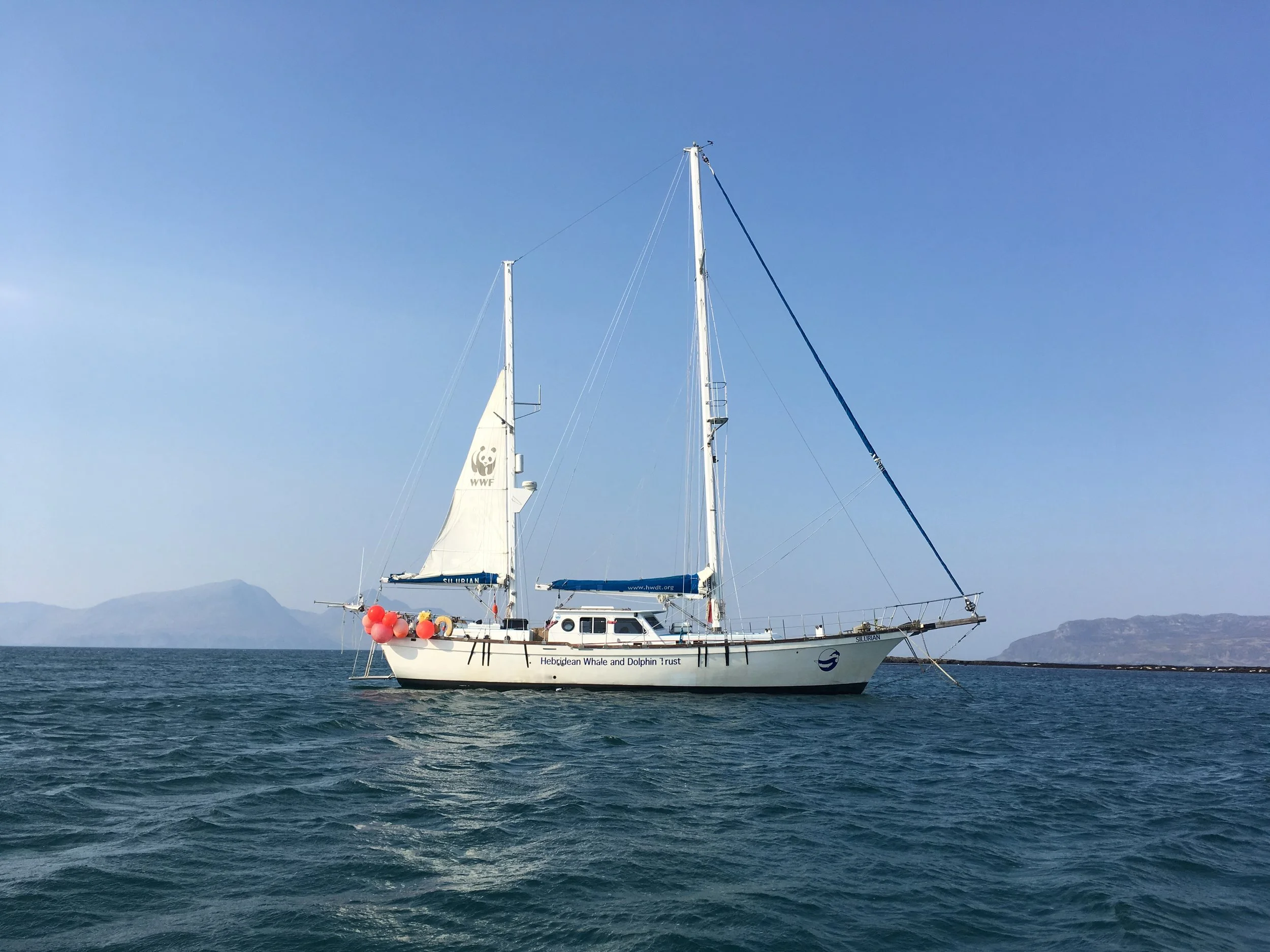 Silurian receives some well-deserved TLC!