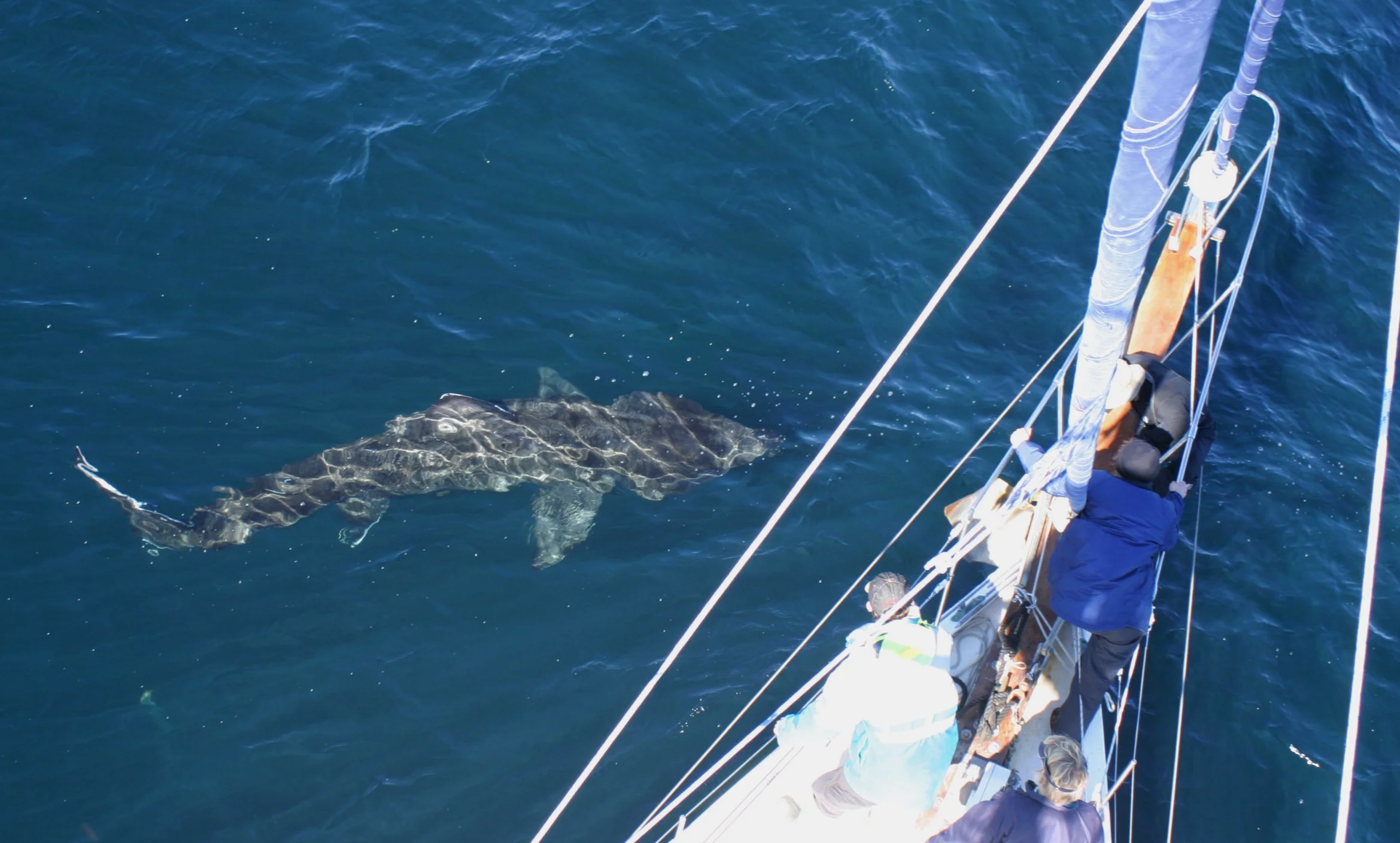 HWDT+Boat+Crew_7.7.04+%282%29.jpg