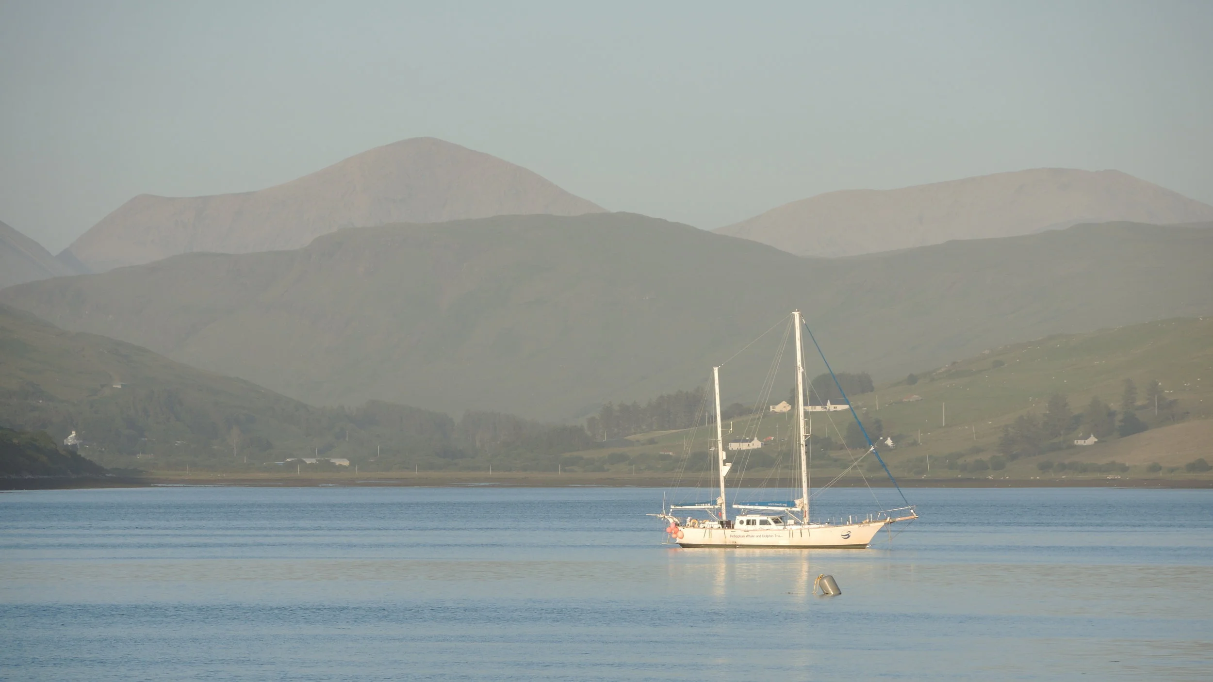 DSCN7845.jpg