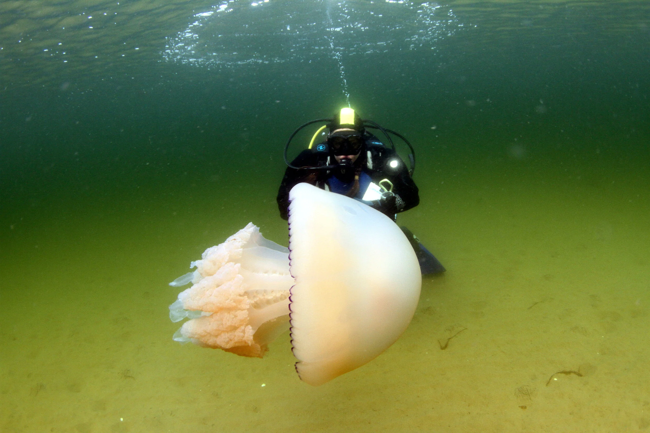 Tales from the Trail: Isle of Arran