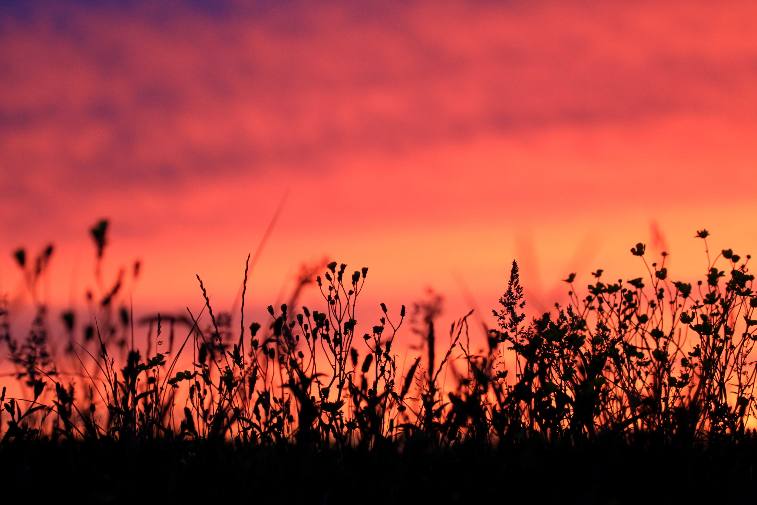 Tales from the Trail: Isle of Tiree