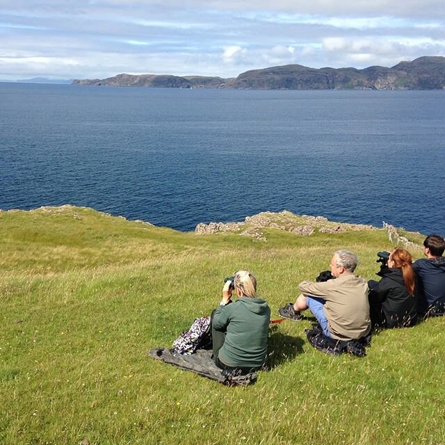 Tails from the Trail comes to you from Glengorm - a beautiful estate found on the Isle of Mull, offering fantastic views over productive seas and in. Eye sight of Ardnamurchan, Coll, Tiree and, on clear days, the Outer Isles, Skye and the Small Isles
