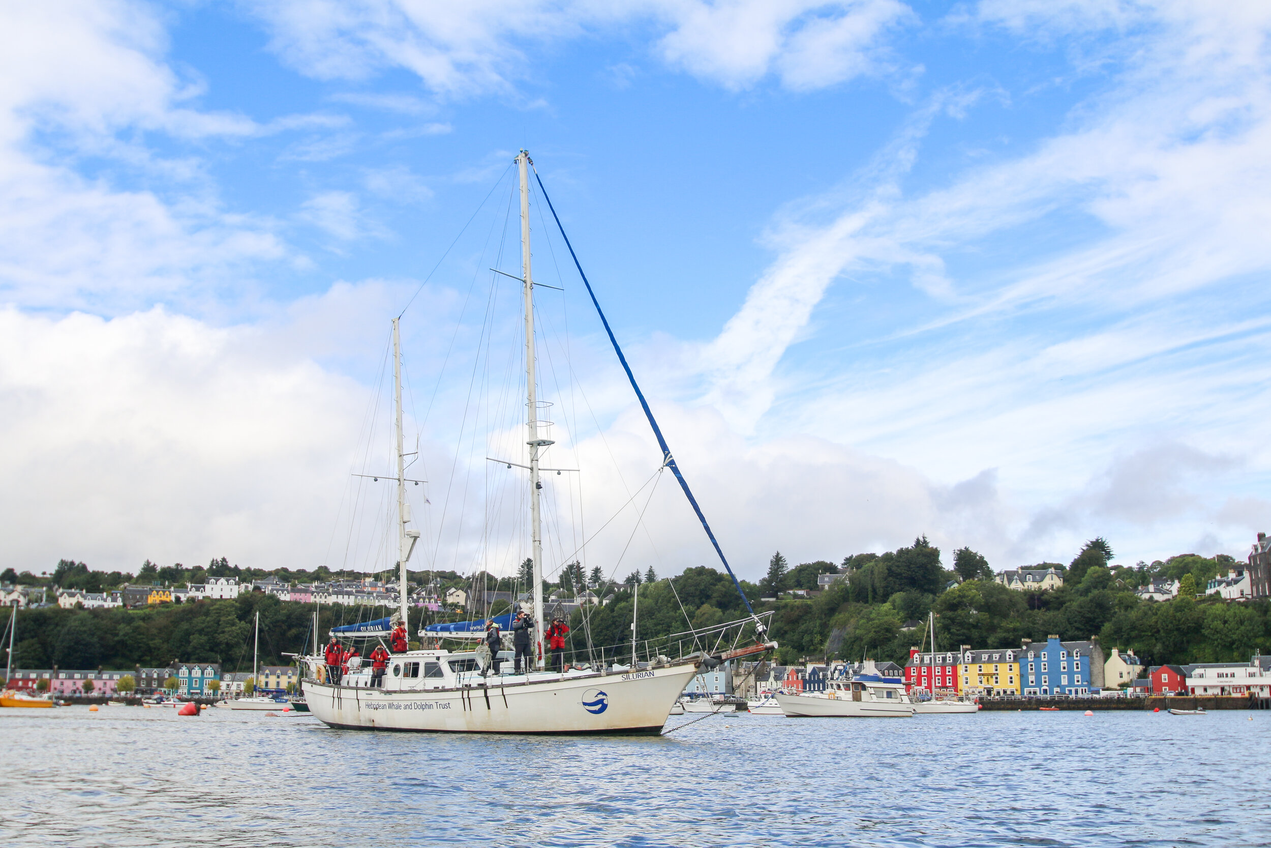 whaleboat (61).jpg