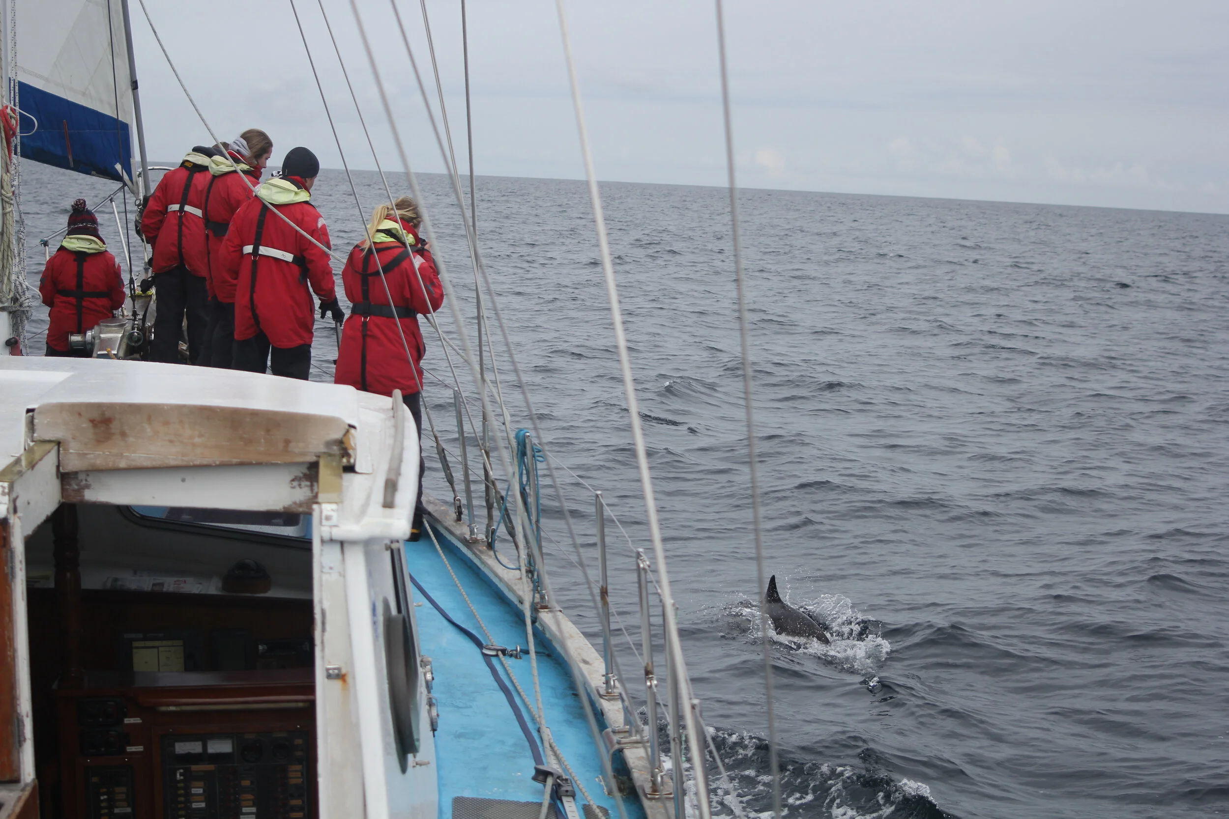 Teen Research Expedition HWDT09: 25 -31 July 2026