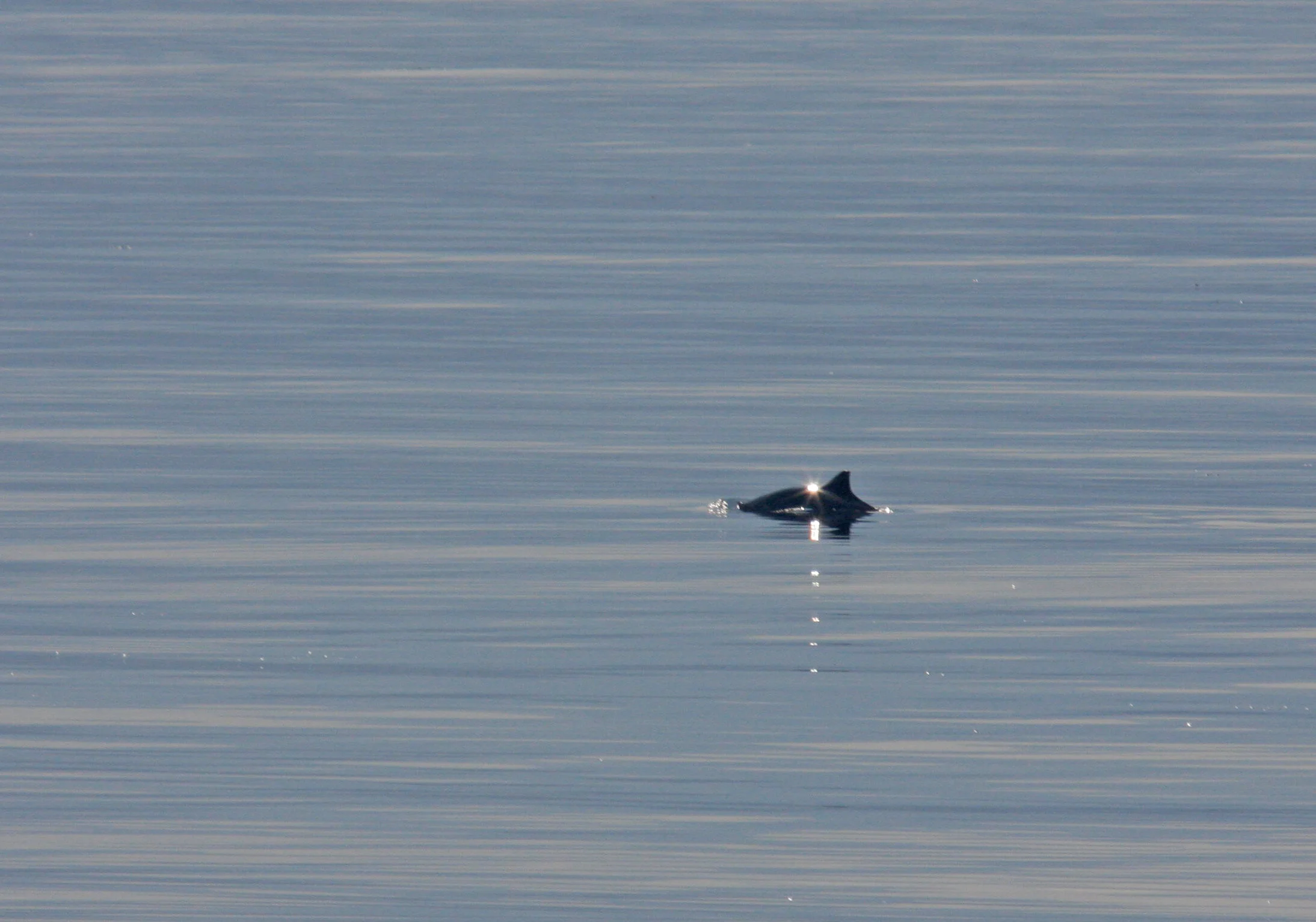 HWDT PhD Student_Cormac Booth_27.7.08.JPG