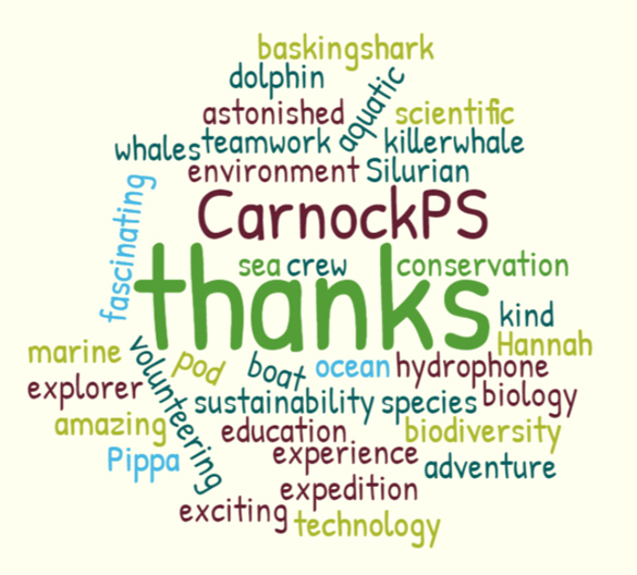 Thank you from Carnock Primary pupils.jpg