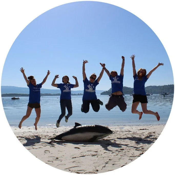 Whale Track: Sightings Celebration