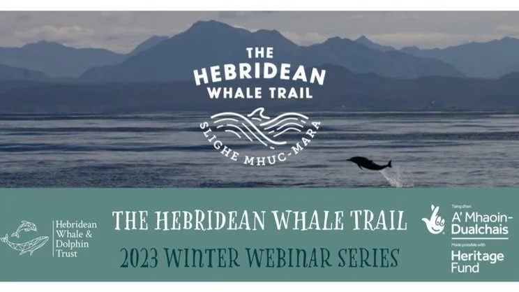 ONLINE TALK: When there's a whale there's a way! With Tim Awbery