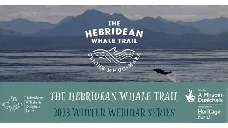 ONLINE TALK: Clyde Whale and Dolphin Watch