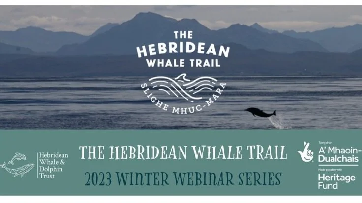 ONLINE TALK: Whale calls, vessel noise and the Covid pandemic