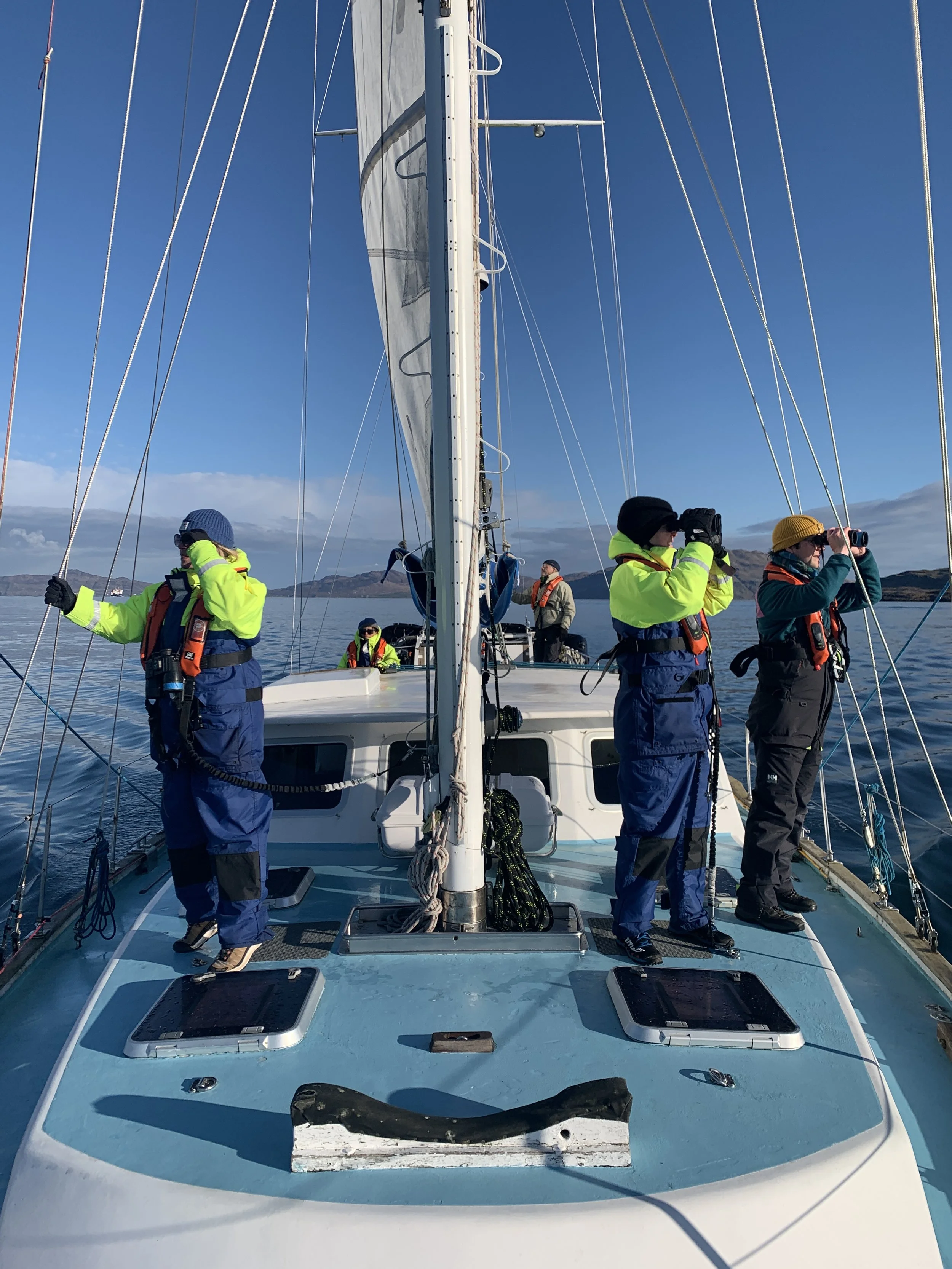 Three species of marine mammal encountered during second research expedition of 2023 