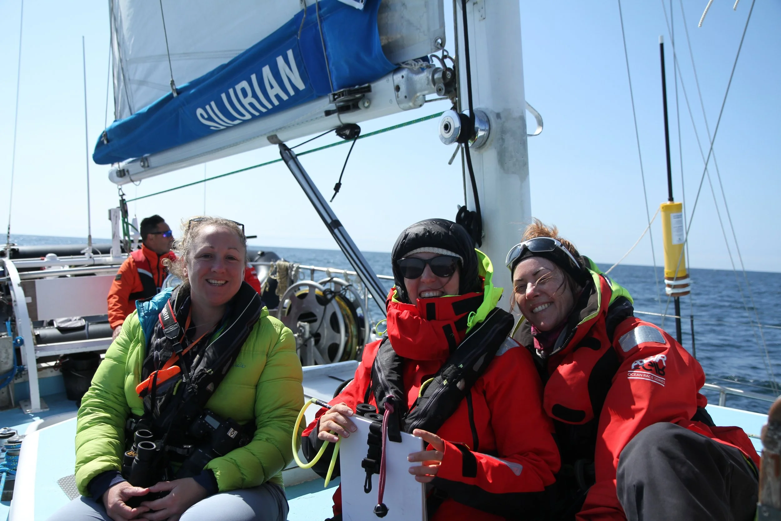 White-beaked dolphins bring delight to all those onboard fifth research survey!