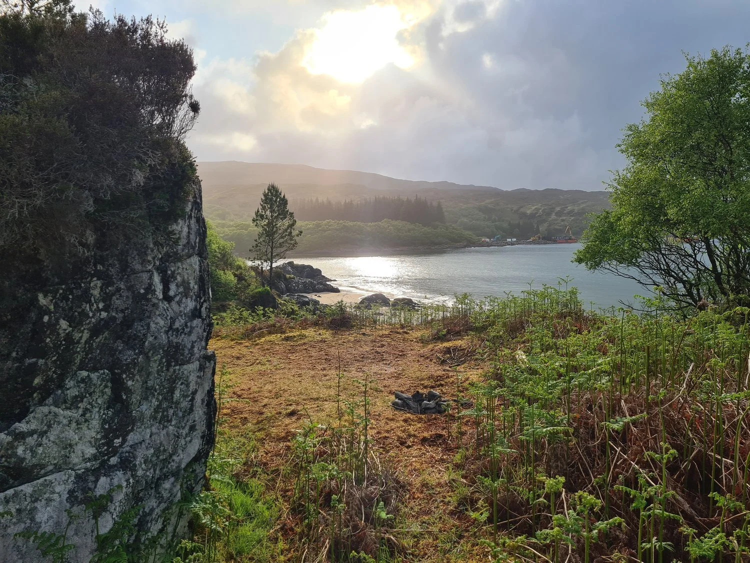 Paradise Found - Tales from Silurian