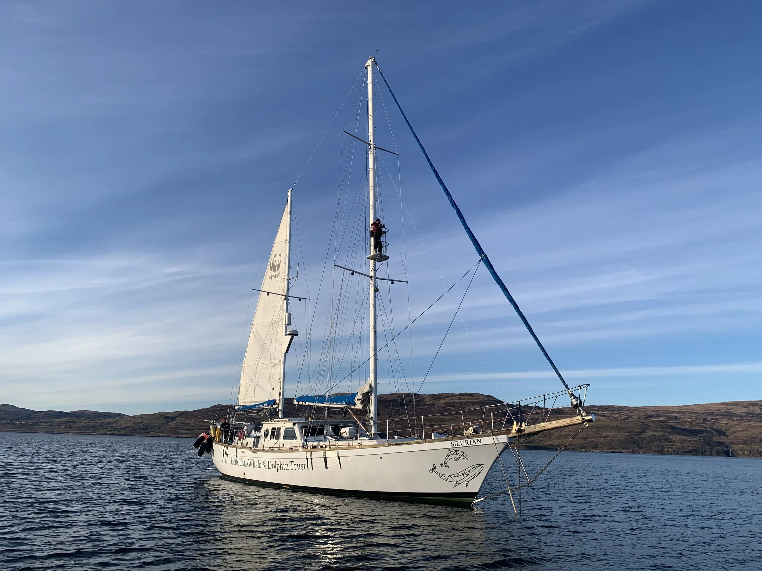 How do we gather data? NatureScot join us to find out